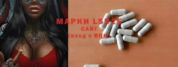 крисы Тында