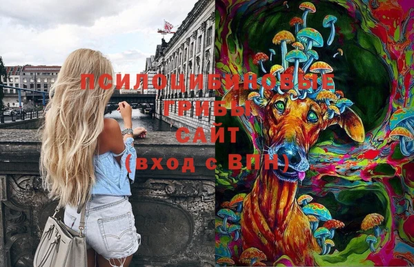 spice Туринск