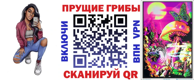 Купить где  Окуловка  Псилоцибиновые грибы GOLDEN TEACHER 